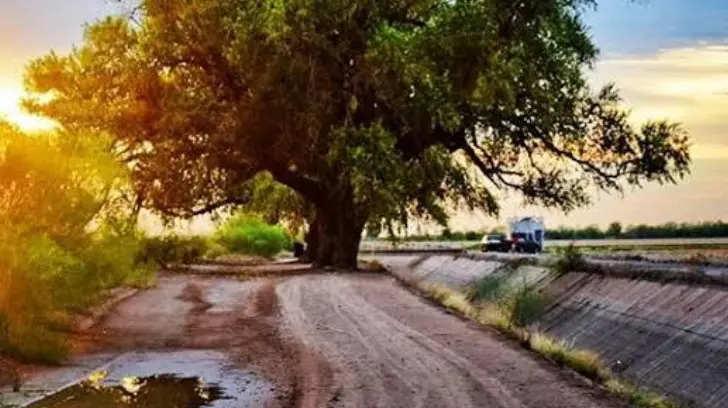 Jóvenes fiesteros obligan a reforzar vigilancia en Navojoa
