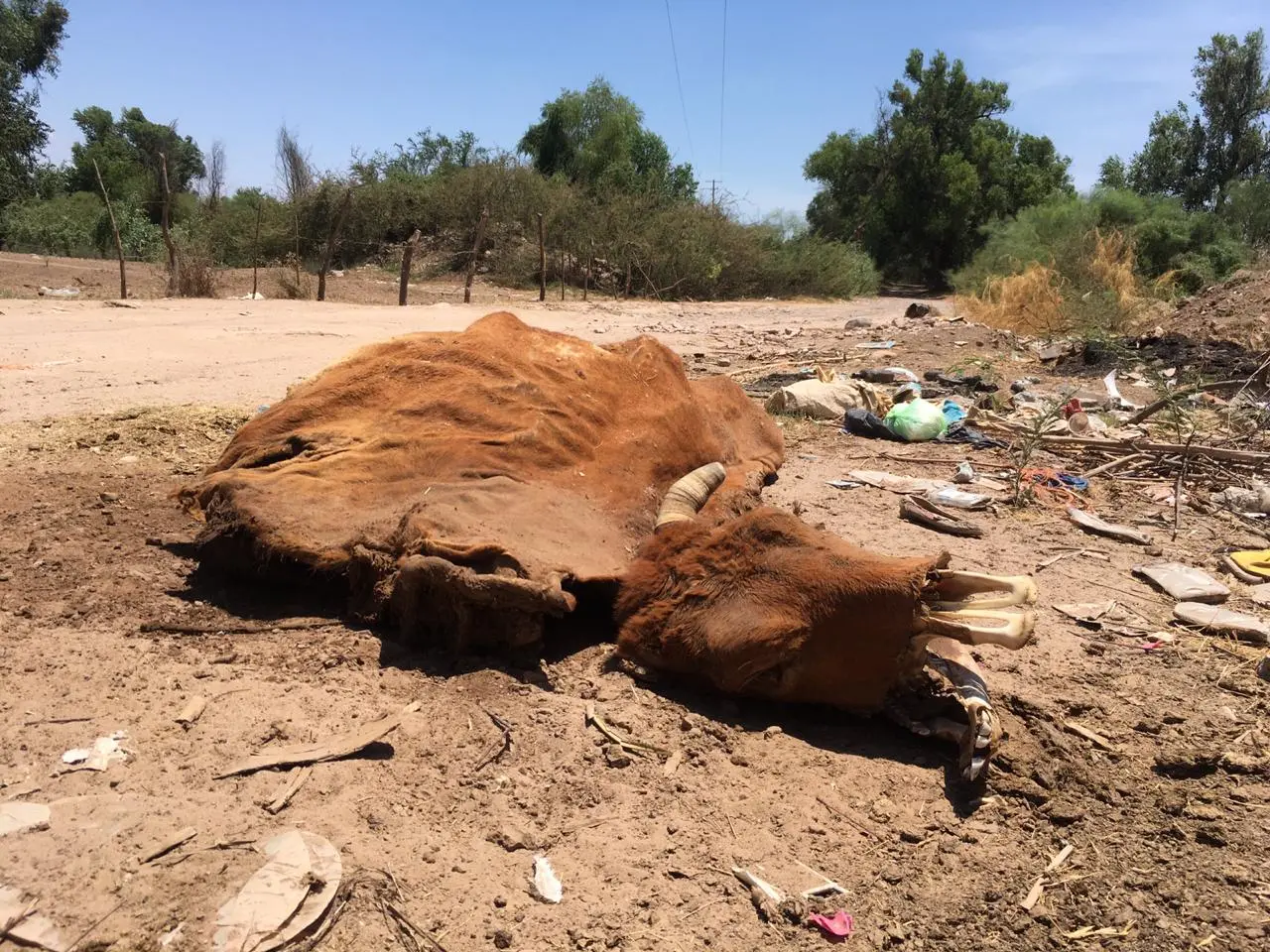 Convierten la entrada del pueblo en basurero clandestino