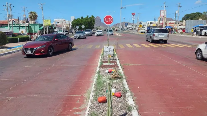 Pandemia provoca altibajos en sector turístico del puerto