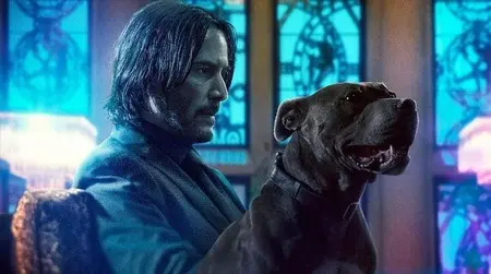 John Wick para rato: Se confirma la 5