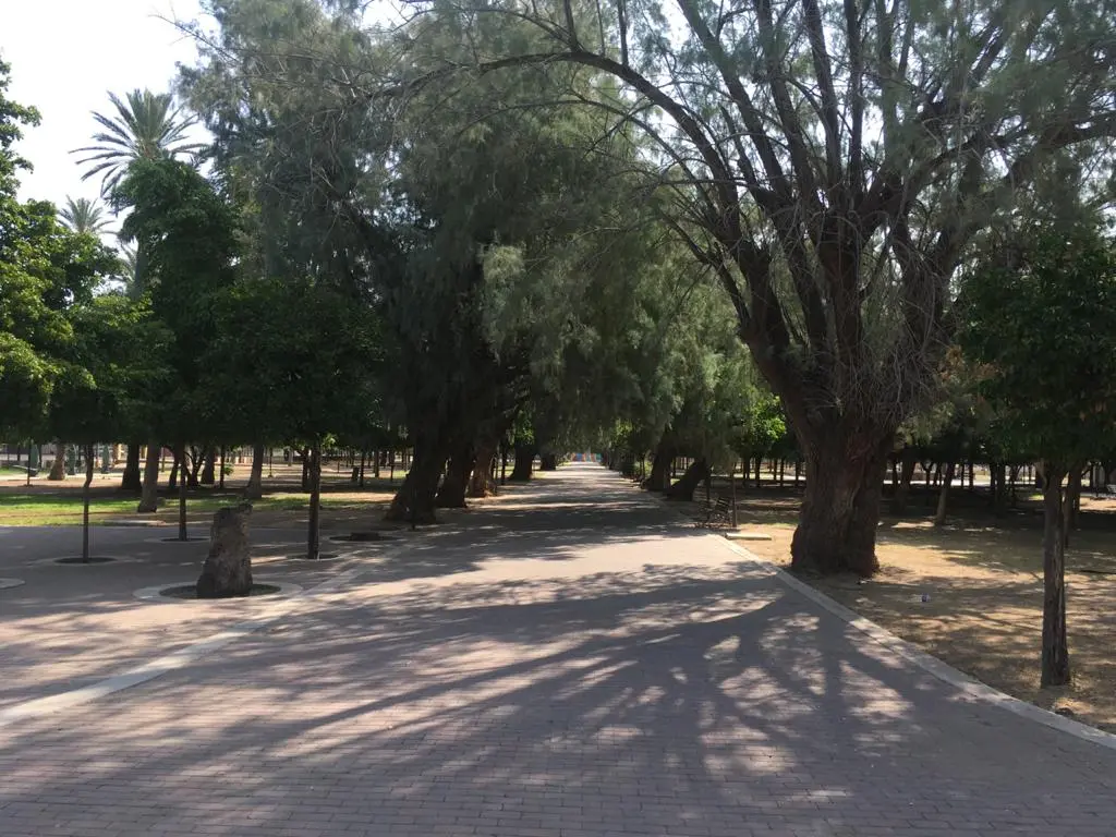Poco a poco regresa la vida al Parque Madero