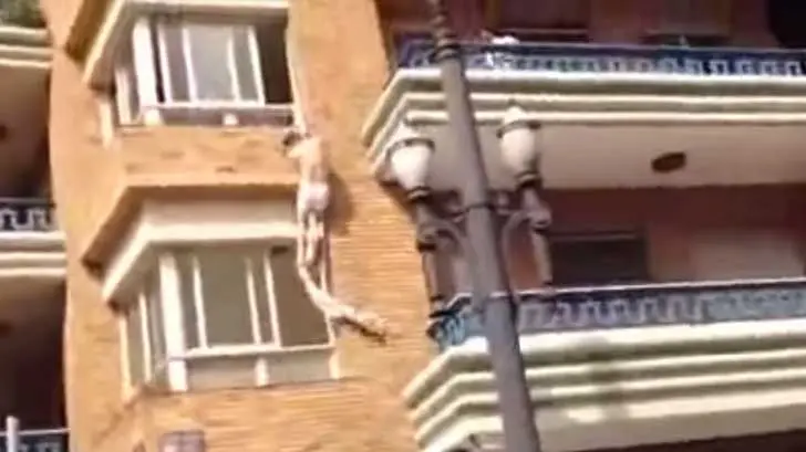 VIDEO | Amante intenta escape de película