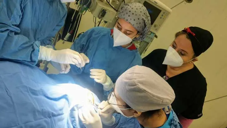Salud invita a decir sí a la donación altruista de órganos