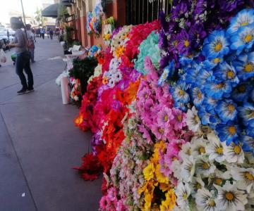 Guaymas: florerías se llenan por el Día de las Madres