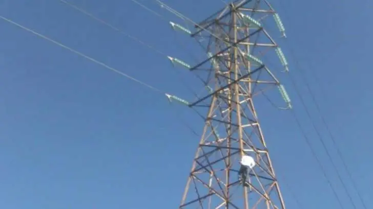 ¡Ya suman 84! Ambientalistas le ganan a reformas de la Ley Eléctrica