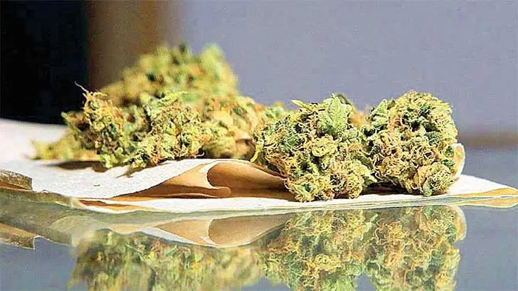 ¿Por qué el número 420 está relacionado con el Día Mundial de la Mariguana?