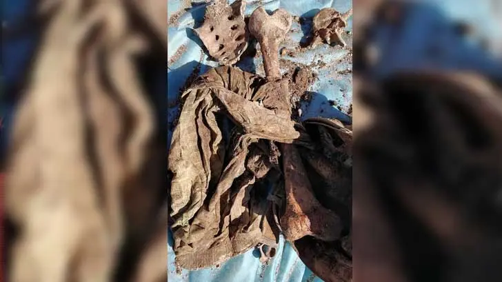 En 36 horas, colectivo de búsqueda ha localizado 15 osamentas al sur de Hermosillo