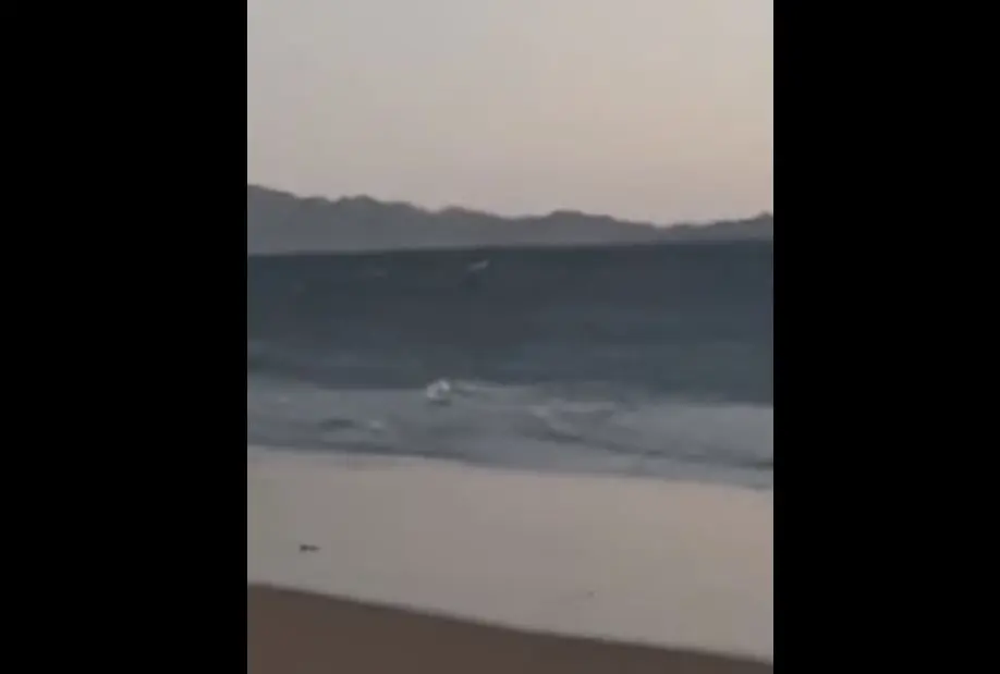 ¡Salió volando! Piloto de aerodeslizador acuático cae en Bahía de Kino