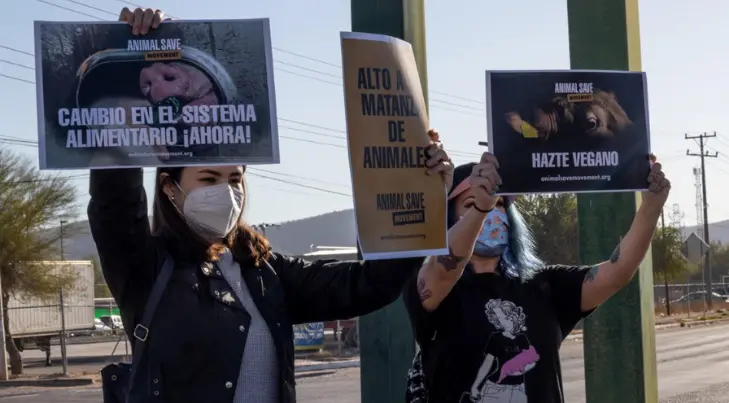 Grupo de jóvenes busca equidad para los animalitos