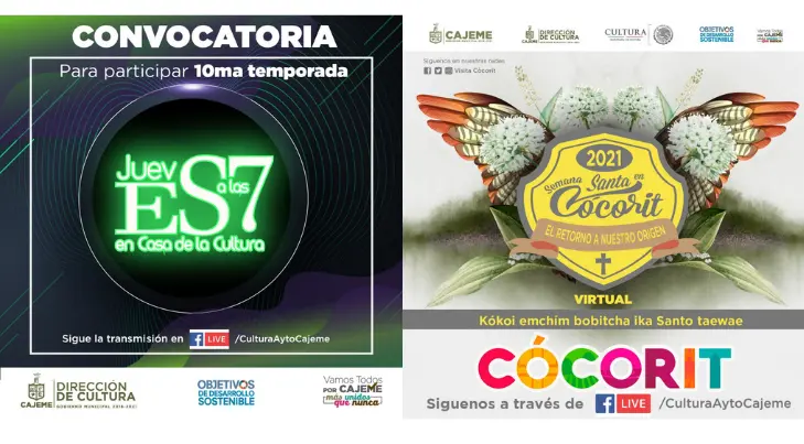 Dirección de Cultura de Cajeme estrena App para promover eventos y talleres