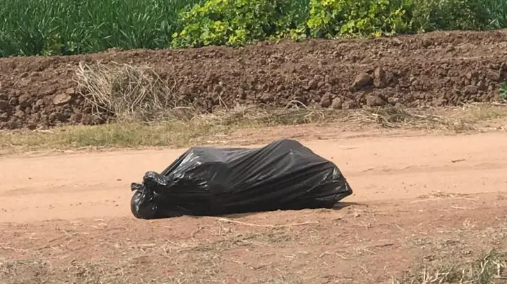 Condenan en Álamos asesinato de perro a sangre fría