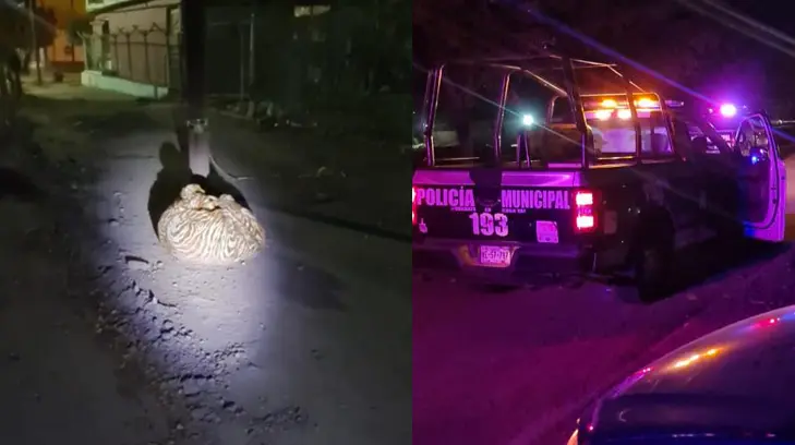 Macabra noche en Cajeme; abandonan cadáver en plena calle y balean a dos