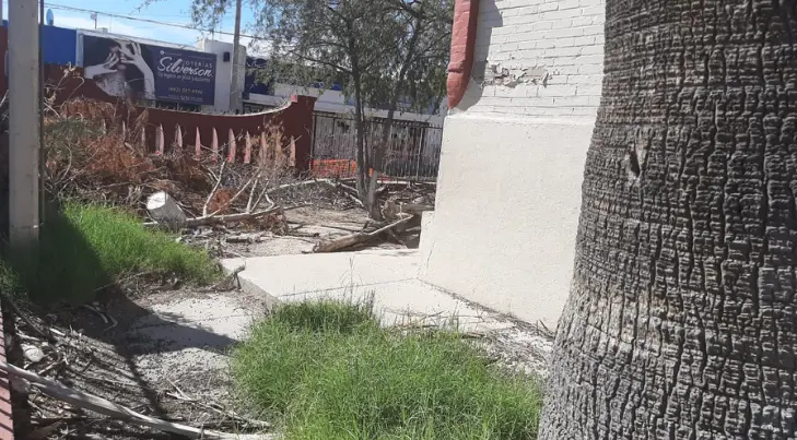 Reconocida escuela Leona Vicario se encuentra en estado de abandono