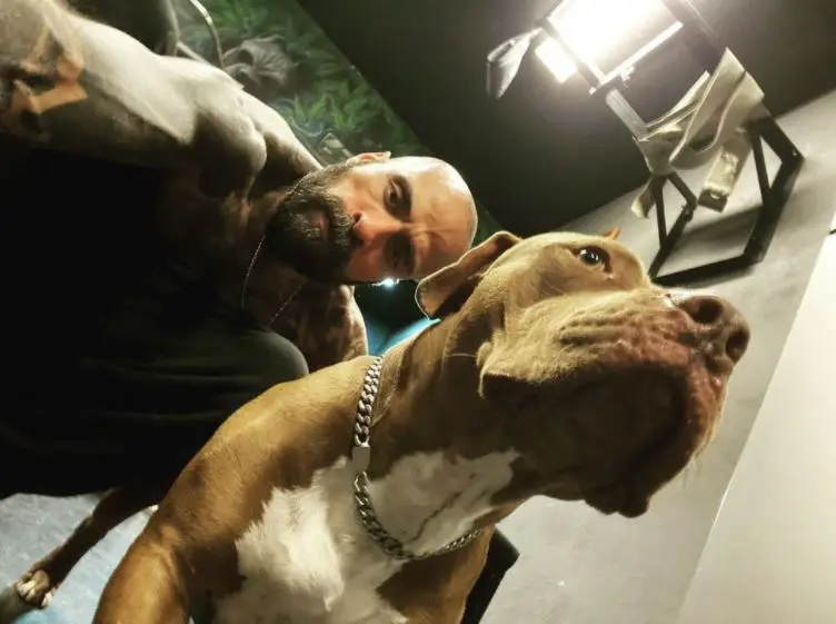 Roban camioneta y perro del Babo, líder de Cartel de Santa; detienen al ladrón tras persecución