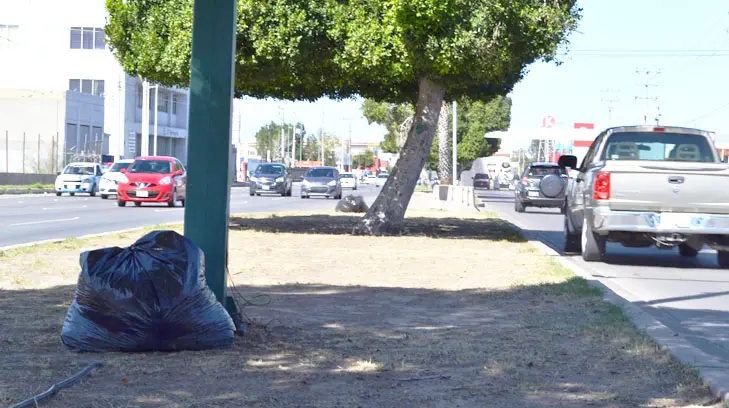 Limpian el camellón del Luis Encinas pero olvidan llevarse las bolsas de basura
