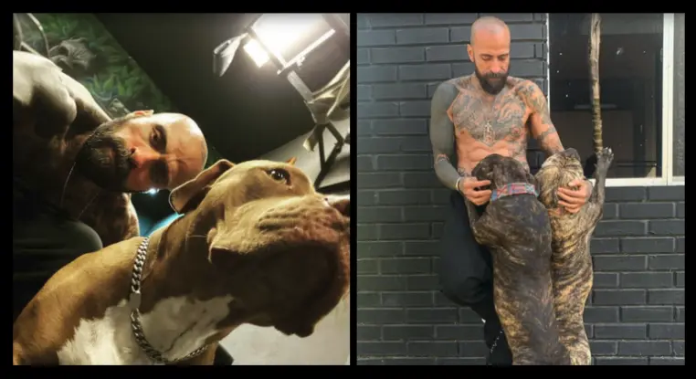 Recuperan camioneta y perro a Babo de Cartel de Santa