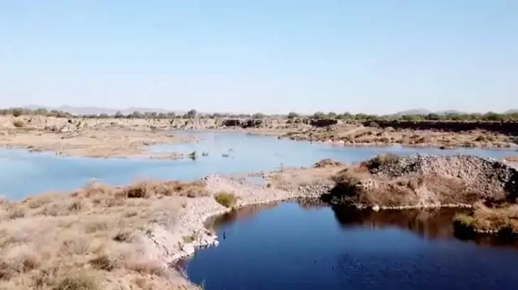 Buscan limpiar manglares en la Laguna la Cruz de Hermosillo
