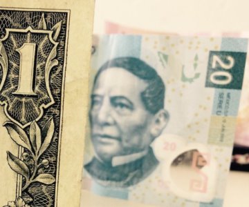 Precio del dólar abre en 20.46 pesos al mayoreo este martes