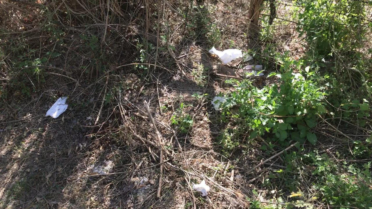 Hasta toallas sanitarias tiran visitantes a las orillas del río en Rayón