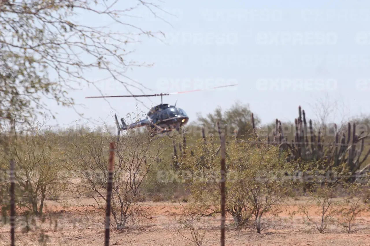 Autoridades de salud coordinan el traslado de heridos en accidente de avioneta