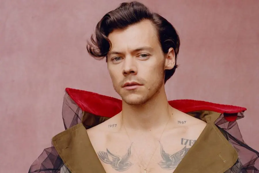 Acusan de plagio a Harry Styles