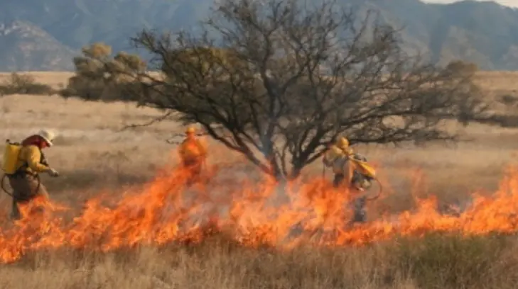 Empalme tuvo un considerable aumento en incendios durante el mes de febrero