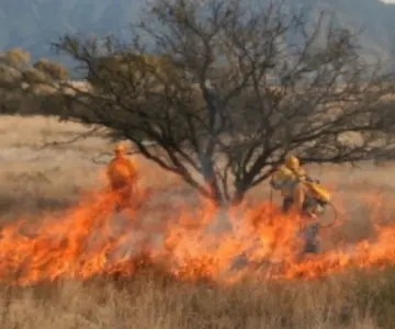 Empalme tuvo un considerable aumento en incendios durante el mes de febrero