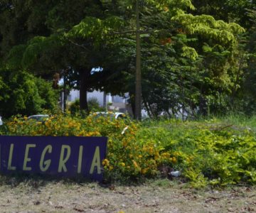 Invitan al aniversario del mini Bosque de la alegría en Hermosillo