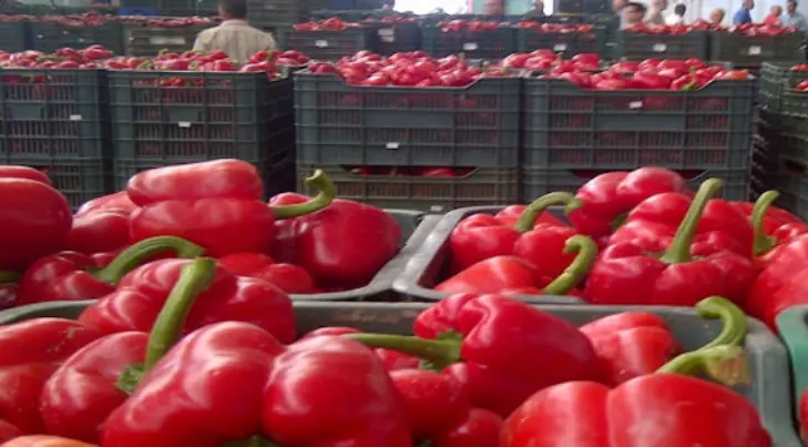 CIAD busca levantar cuarentena de exportación impuesta por Japón