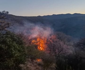 Bomberos logran apagar el incendio de la Sierra de Álamos