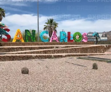 San Carlos cerrará el año con más de 400 bodas católicas