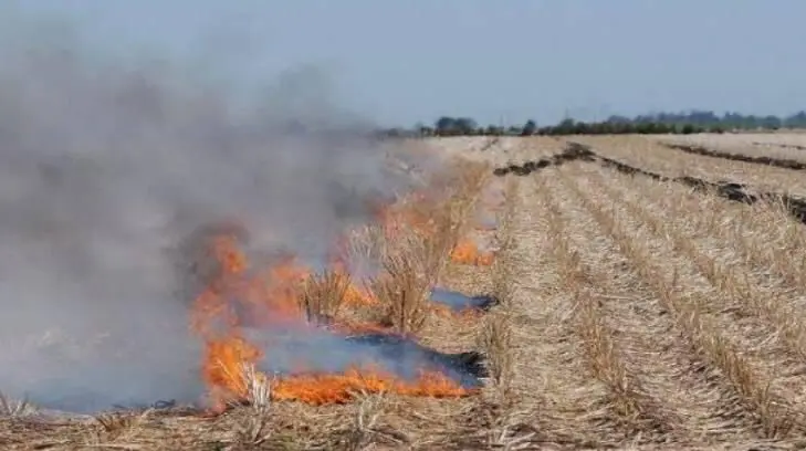 Bomberos de Etchojoa ya NO asistirán a los incendios de gavillas