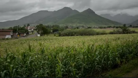 Sinaloa disparará bombas a las nubes para hacer llover ante sequía extrema