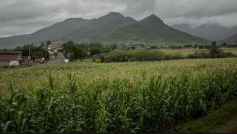 Yoduro de plata en nubes trae lluvias al noroeste del país