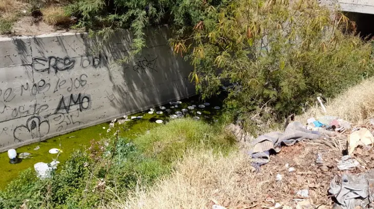 Se meten alacranes y cosas que ni sé cómo se llaman; reportan canal descuidado en Lázaro Cárdenas