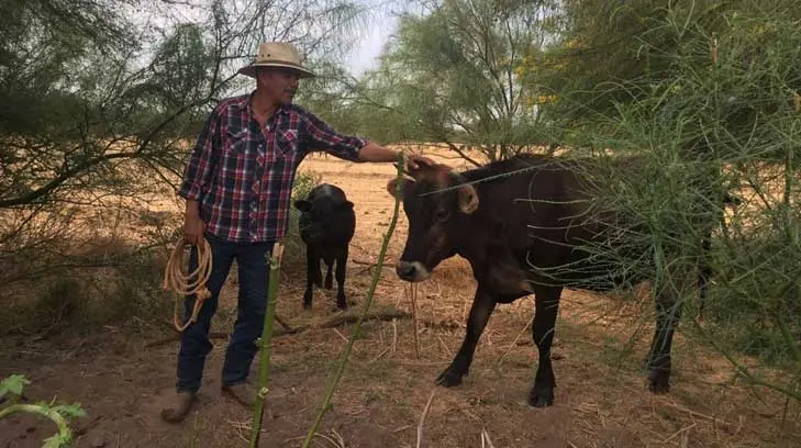 Familia Durazo Gaxiola se las ingenia para superar la sequía