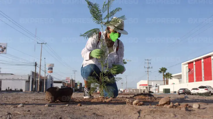 Foto: Especial / EXPRESO.