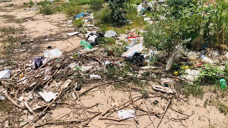 Rodeados de ratas, cucarachas y basura tienen que vivir vecinos de la Solidaridad
