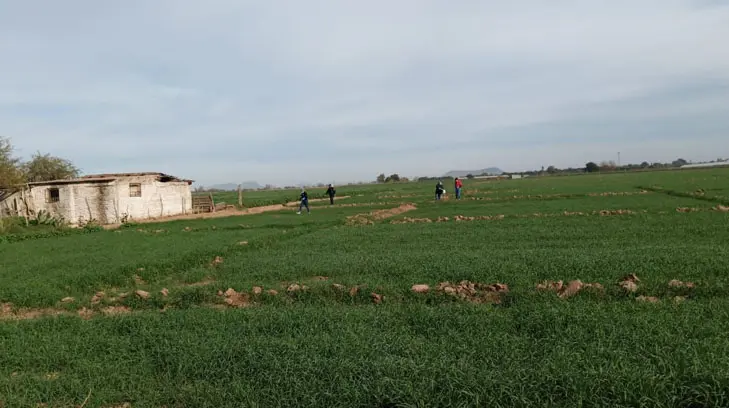 Una muerte más en la comunidad yaqui; asesinan a un hombre en Loma de Guamúchil