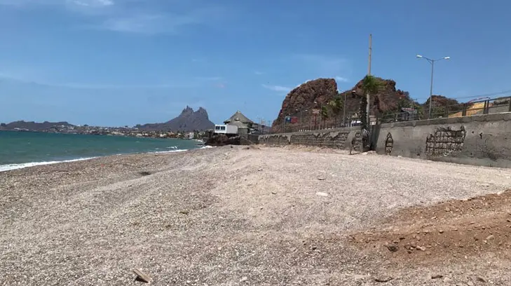 Decenas de tortugas son liberadas por el Crifs en playas de Guaymas