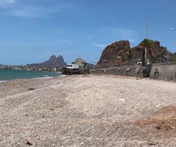 Decenas de tortugas son liberadas por el Crifs en playas de Guaymas