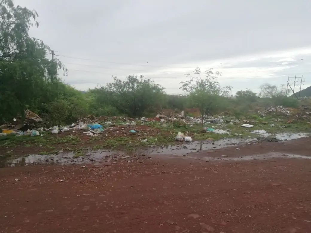 A falta de un servicio eficiente de recolección de basura en Guaymas, la gente decide tirar los desechos en este baldío