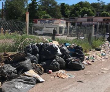 Esta es la empresa que se encargará de los camiones de basura en Guaymas