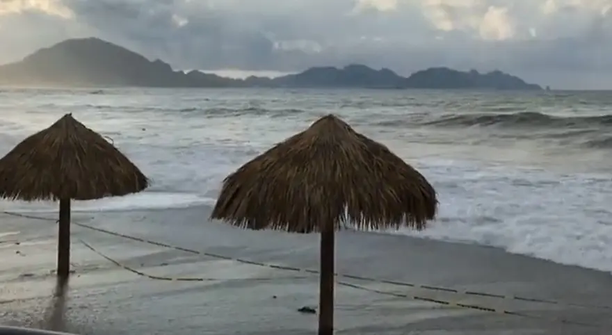 Continúa investigación en el ISAF sobre playa incluyente de San Carlos
