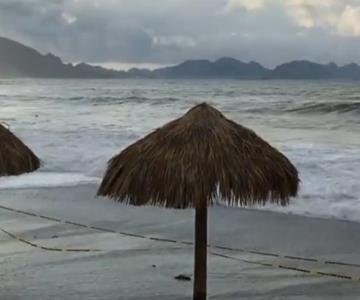 Continúa investigación en el ISAF sobre playa incluyente de San Carlos