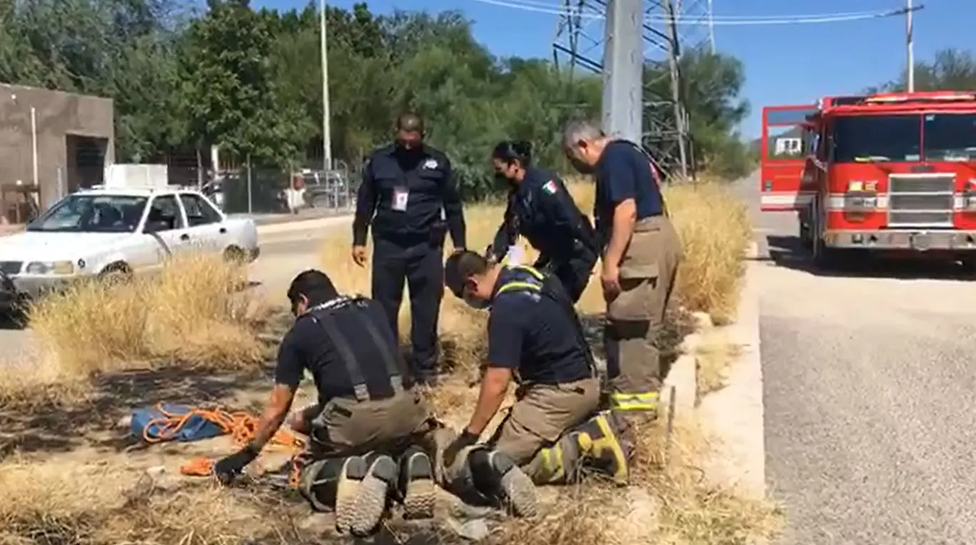 EN VIVO - Bomberos intentan rescatar a perrito atrapado en alcantarilla al norte de Hillo
