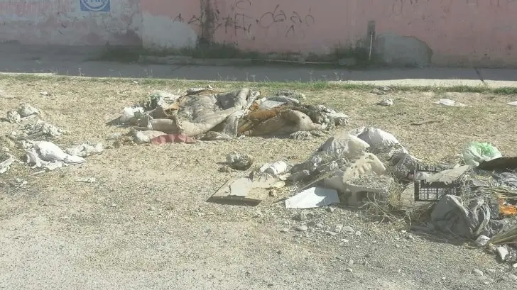 ¡No se miden en la colonia Los Jardines! Basura tapa carriles de las calles