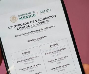 Cómo sacar el certificado de vacunación actualizado por internet