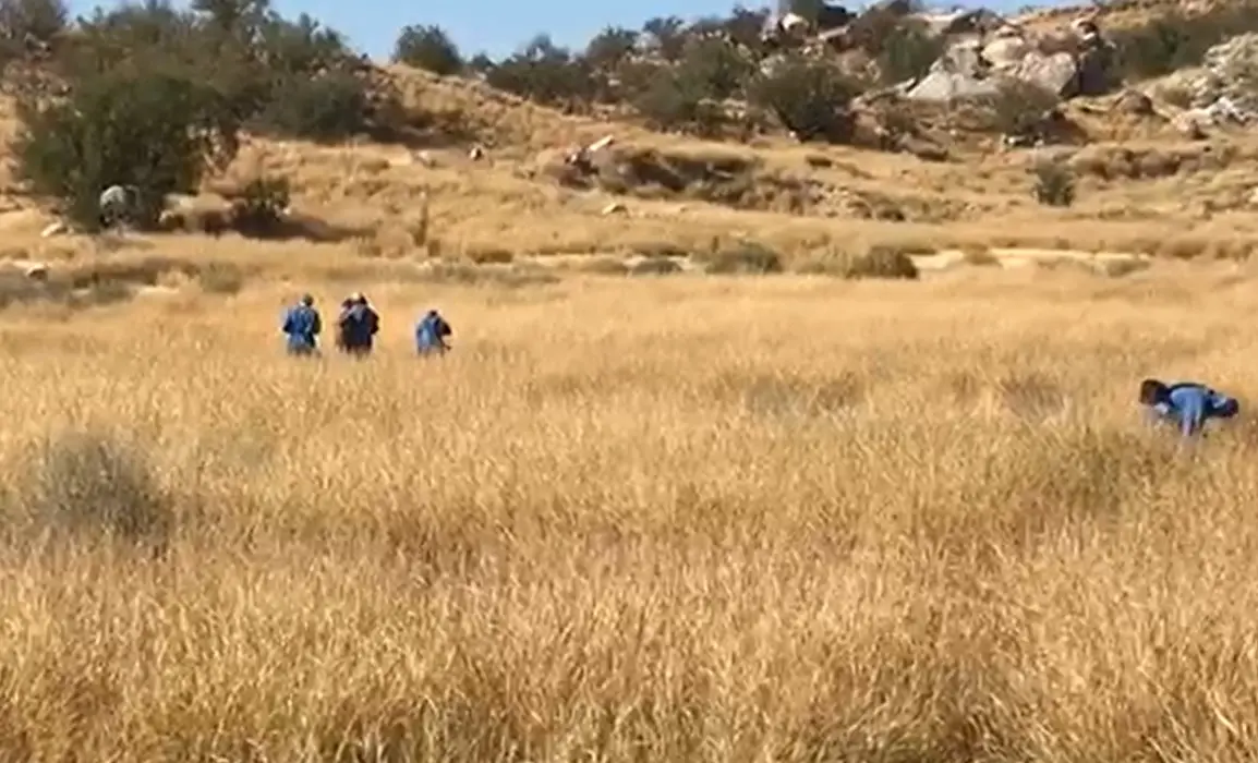 VIDEO - Encuentran cuerpo sin cabeza al sur de Hermosillo