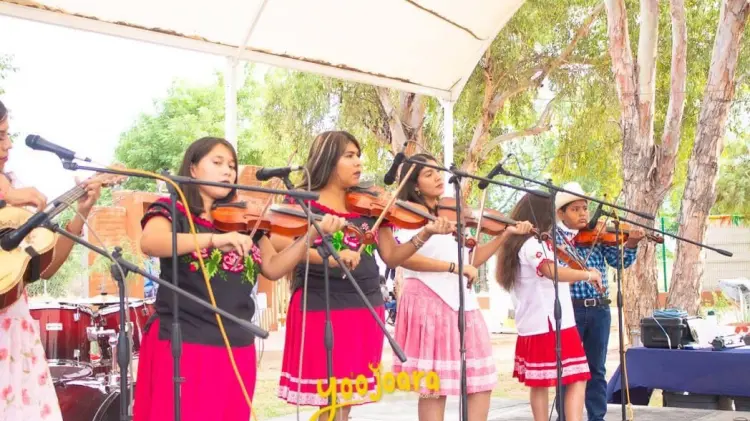 Así se vivió el Encuentro de Música popular Yaqui en Cócorit